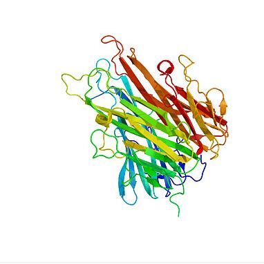 Recombinant Human Dnmt3L