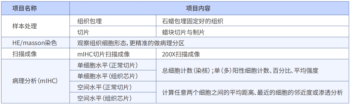 新闻图片7