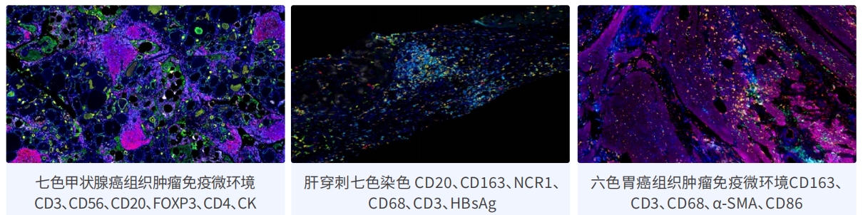 新闻图片8