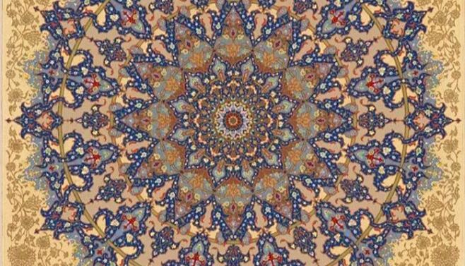 助力细胞划痕！选择 ibidi 细胞划痕插件的 5 大理由