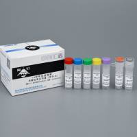 14种呼吸道细菌核酸检测试剂盒(探针法)