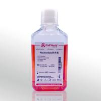 Cellworld Neuronbas  培养基 C1103-049