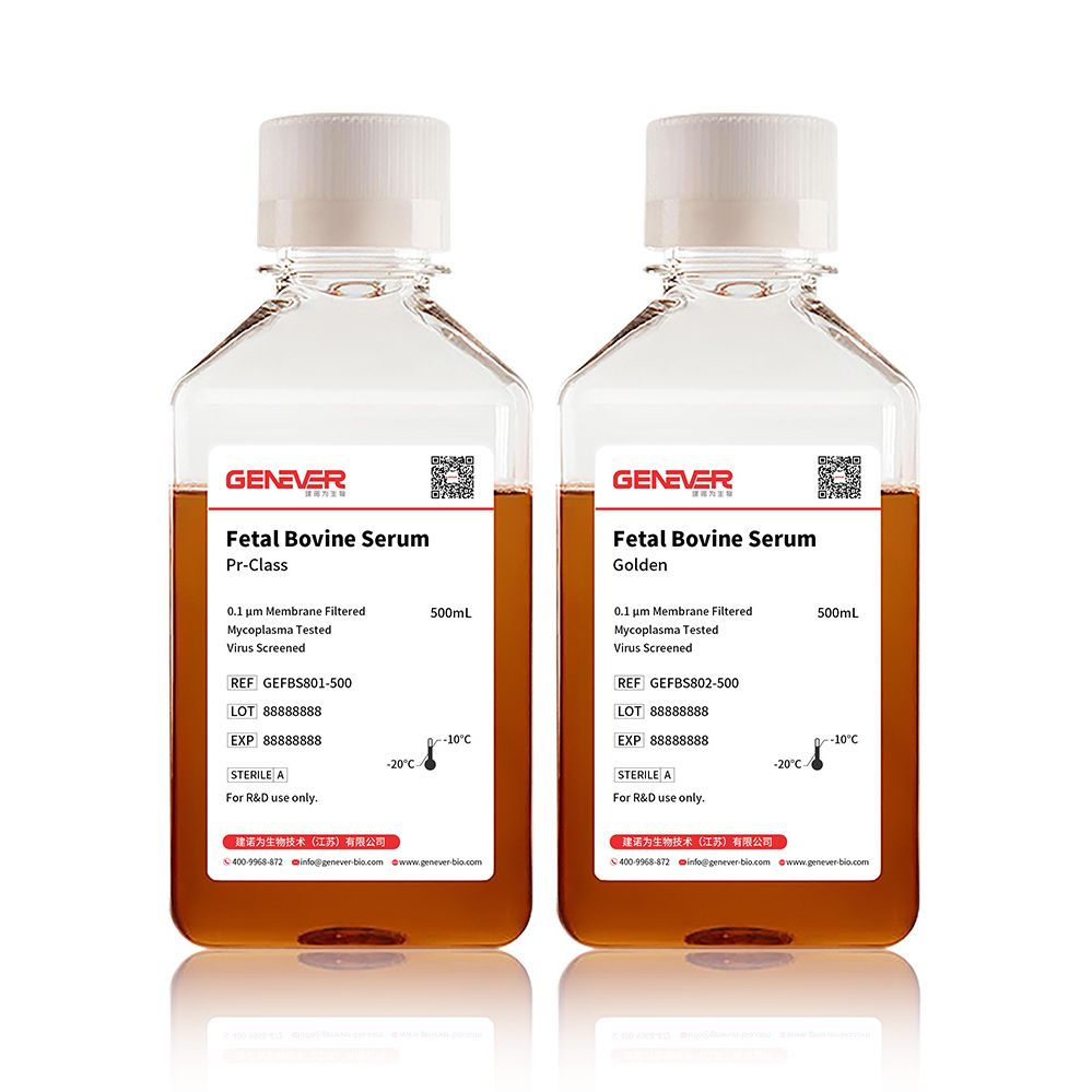 GEFBS801-500 特级胎牛血清 500ML