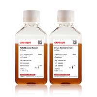 GEFBS801-500 特级胎牛血清 500ML