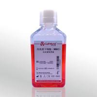 Cellworld 间充质干细胞（MSC）无血清培养基 C2262-880