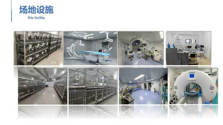 CRO服务/动物实验