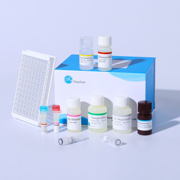 Human ERG (Transcriptional regulator ERG) QuickTest ELISA Kit