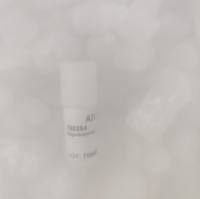 Paenibacillus puldeungensis	