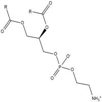 Phosphatidylethanolamines (soy)