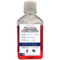 MHCC-97H-LUC人高转移性肝癌细胞-荧光素酶标记专用培养基