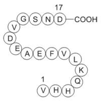 Amyloid Beta-Peptide (12-28) (human)
