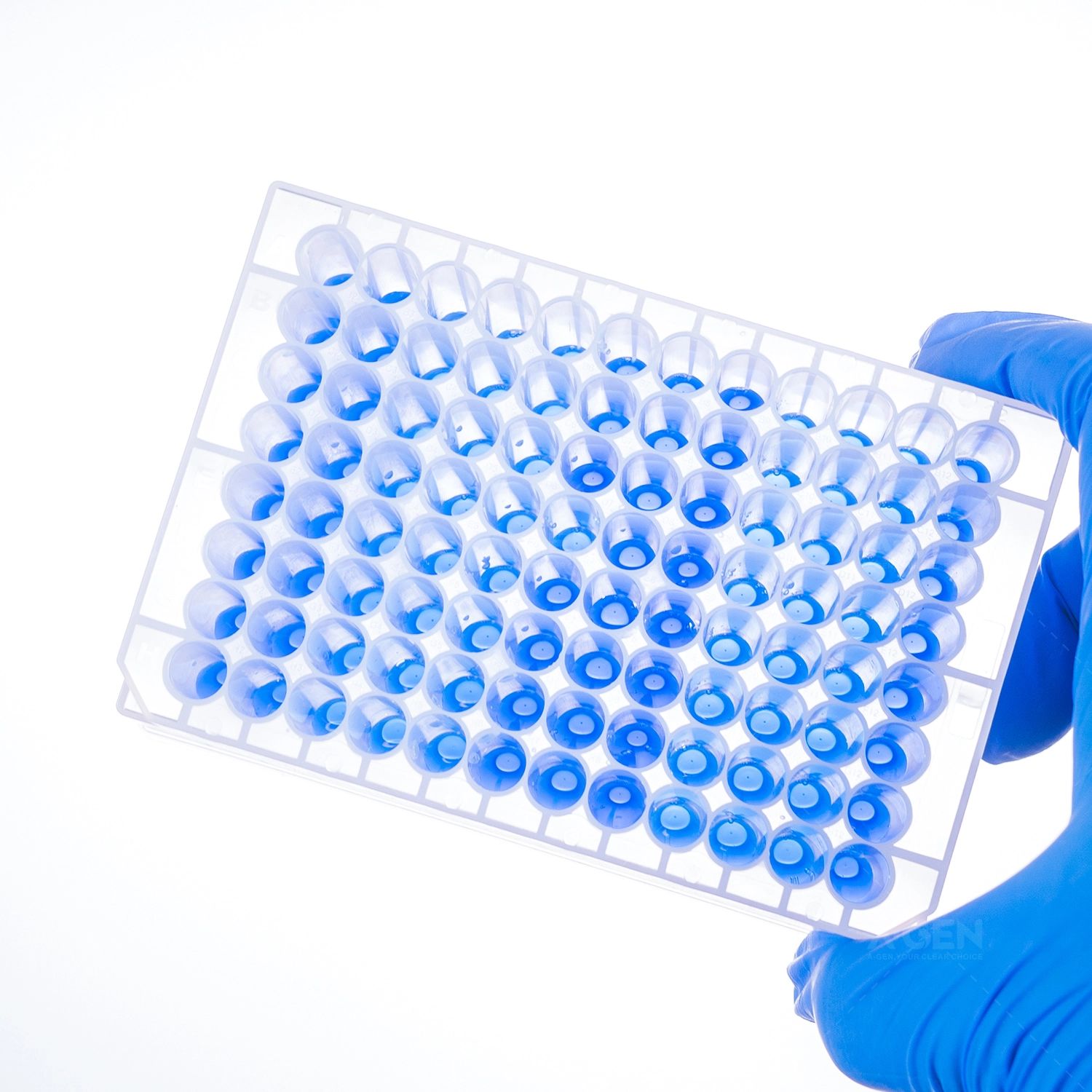 WK-2.0-RDA-96,96圆孔深孔板，U底