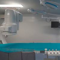 CRO服务/动物实验