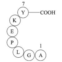amyloid A protein fragment [Homo sapiens]