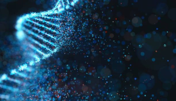 【推荐】UDG酶：预防PCR实验室污染，避免假阳！