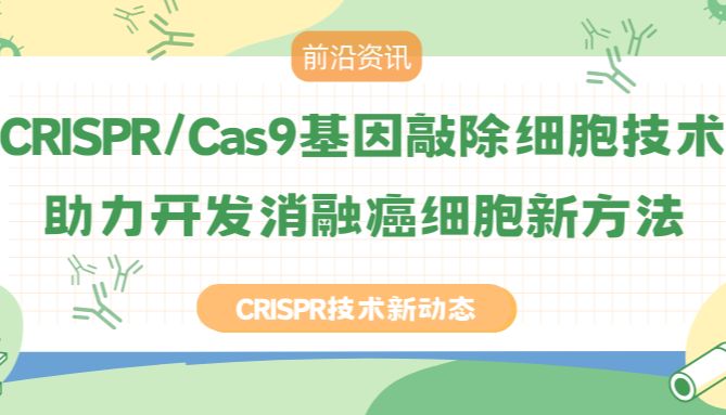 【前沿资讯】CRISPR技术新动态--CRISPR/Cas9基因敲除细胞技术助力开发消融癌细胞新方法