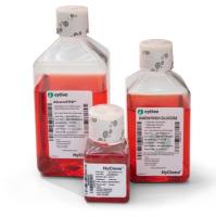 Trypsin, 0.25% (1X), with 2.5 g porcine trypsin (1:250/L gamma irradiated) in HBSS with 0.2 g/L EDTA, without calcium, magnesium (liquid)