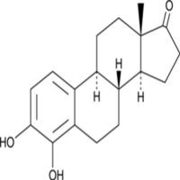 4-hydroxy Estrone
