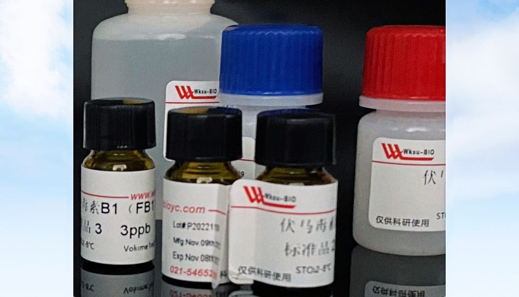 AAV病毒包装（miRNA/过表达/敲降）暑期活动