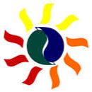 AIM2基因敲除质粒