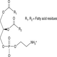 Phosphatidylethanolamines (bovine)