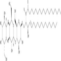 C18 Globotriaosylceramide (d18:1/18:0)