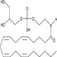 Glycerophospho-N-Arachidonoyl Ethanolamine