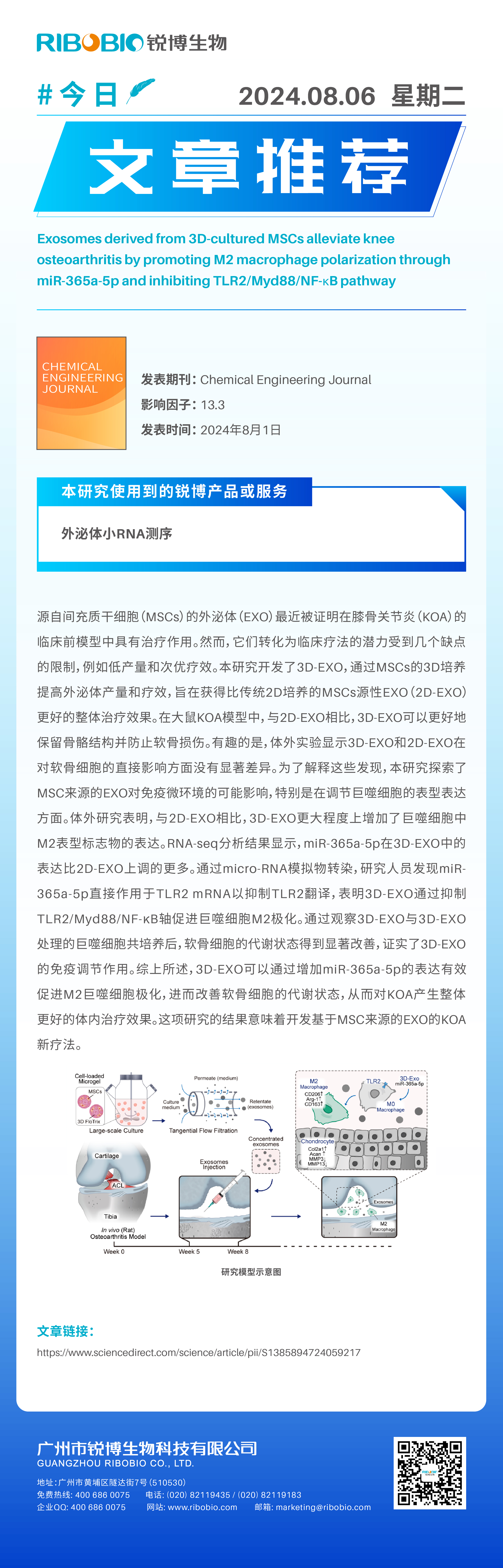今日文章推荐（IF13.3）丨3D培养的MSCs源性外泌体通过miR-365a-5p促进M2巨噬细胞极化并抑制TLR2Myd88NF-κB通路，从而缓解膝骨关节炎