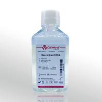 Cellworld Neuronbas  无酚红培养基 C3582-901