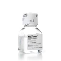 双抗 Penicillin-Streptomycin Solution 10,000 Units