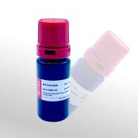 Cellworld 碘化丙啶(PI)溶液（50ug/ml） C0660-122