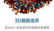 让ibidi专业的3D培养产品提升您的细胞培养体验