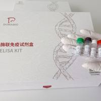 牛毒蕈碱型乙酰胆碱受体(M-AChR)酶联免疫试剂盒 