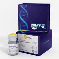 FuGENE® 4K DNA转染试剂-FuGENE 4K Transfection Reagent