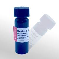 Cellworld Hoechst 33342 染色液(1mg/mL)C0260-117