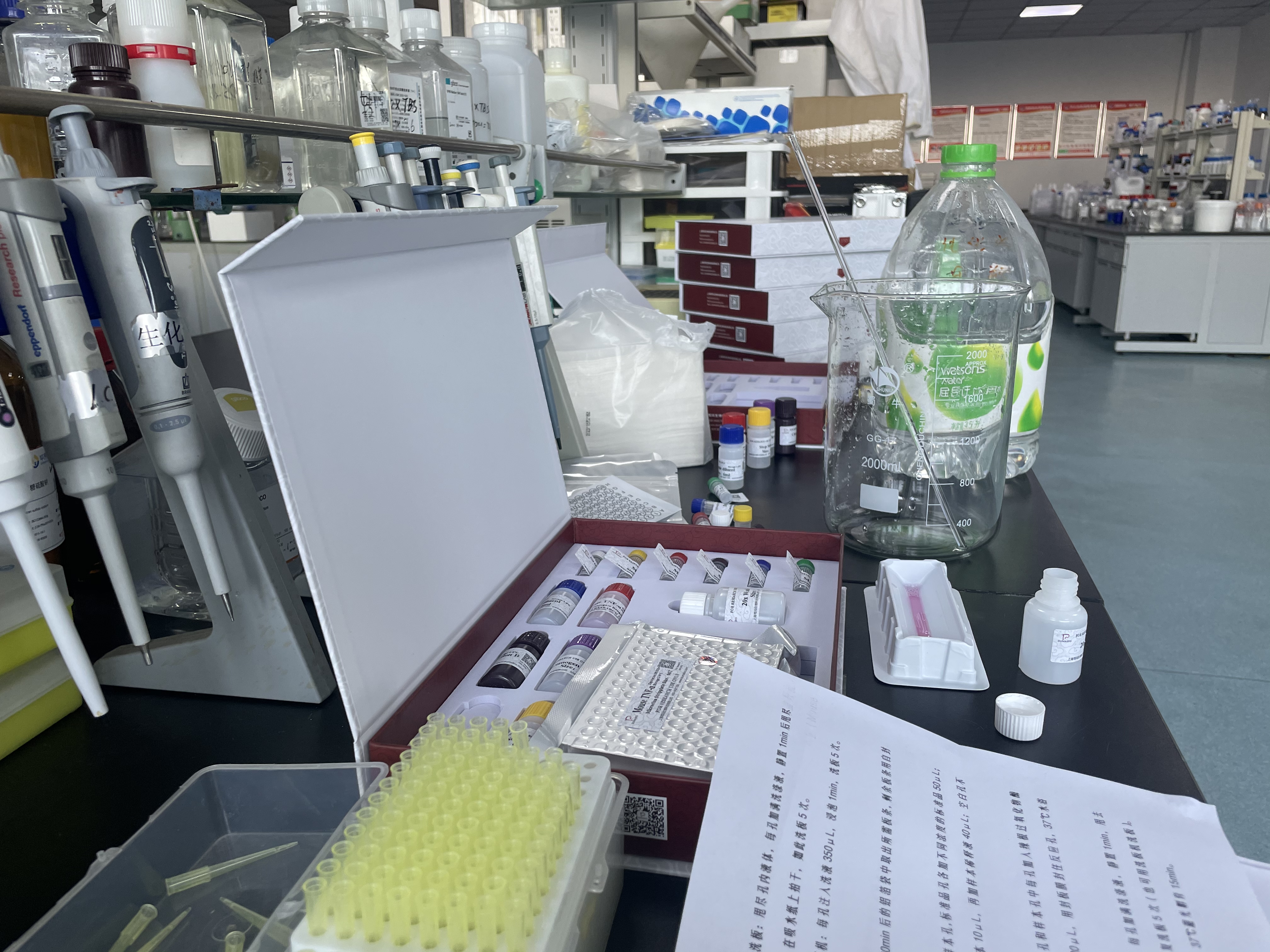 牛核糖体蛋白S6激酶β1(RPS6Kβ1)酶联免疫试剂盒