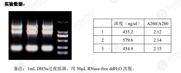 柱式法提取革兰氏阴性菌RNA试剂盒
