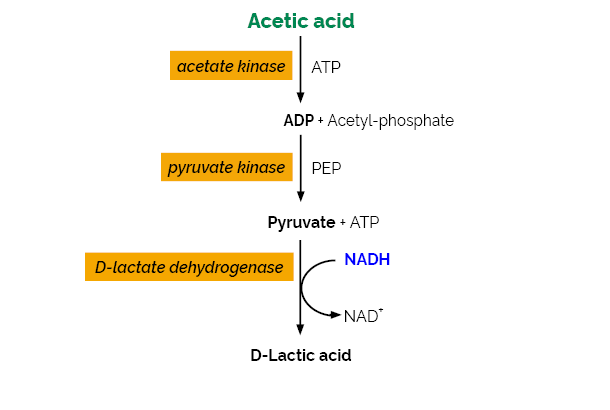 Scheme-K-ACETAK ACETAK Megazyme