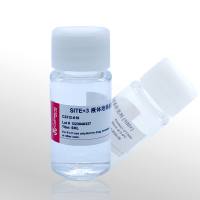 Cellworld SITE  液体培养基补充剂 100X C2312-018