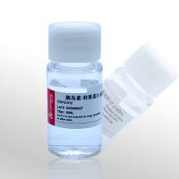 CellWorld IT 液体培养基补充剂  100X  C2312-012