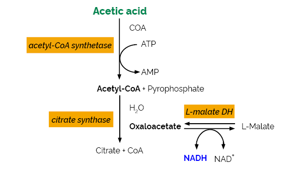 Scheme-K-ACET ACET Megazyme
