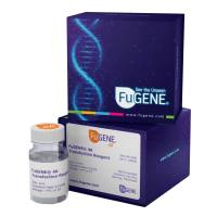 FuGENE® SI RNA转染试剂-FuGENE SI Transfection Reagent