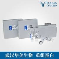 F13L/F13L蛋白/(37 kDa protein)(Envelope protein F13)(Palmitoylated EV membrane protein)(p37K)蛋白/Recombinant Vaccinia virus Envelope phospholipase F13 (F13L)重组蛋白