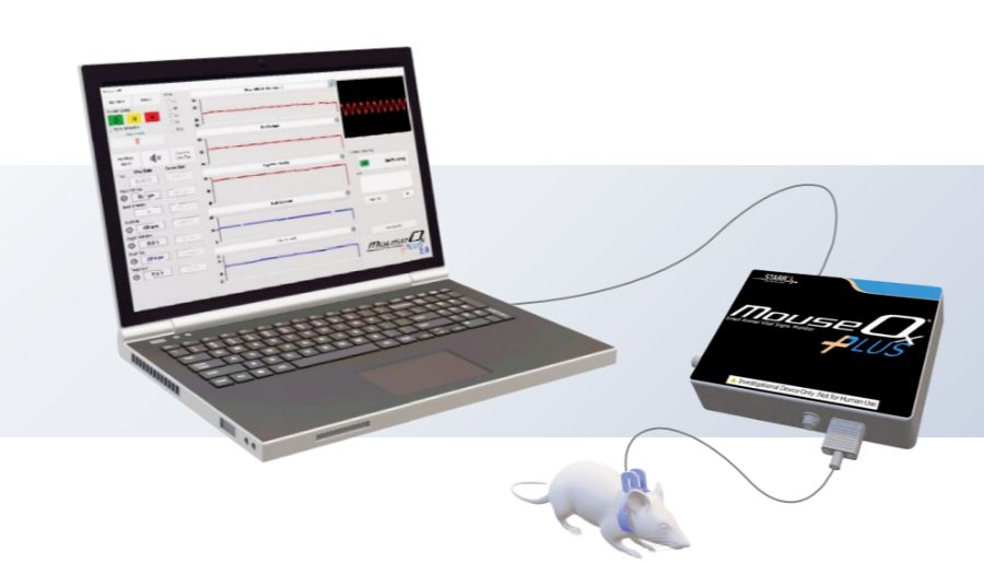 STARR MouseOx | 大小鼠清醒、无创长期血氧监测——脉搏血氧仪