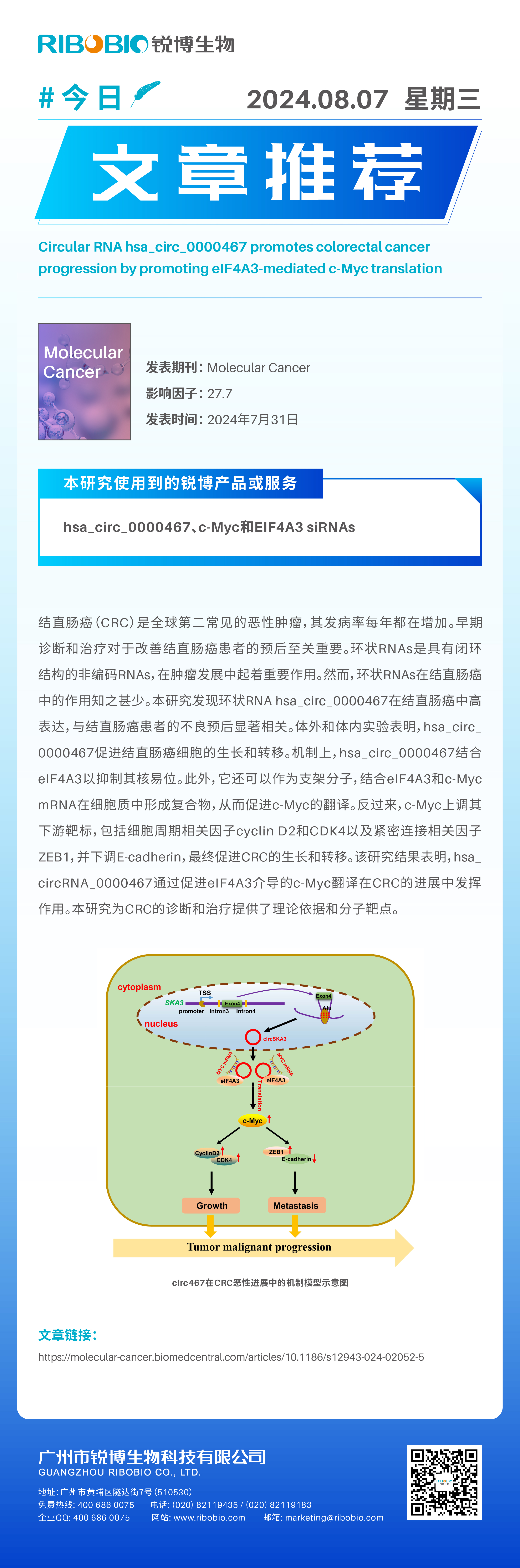 今日文章推荐（IF27.7）丨hsa_circ_0000467通过促进eIF4A3介导的c-Myc翻译来促进CRC进展