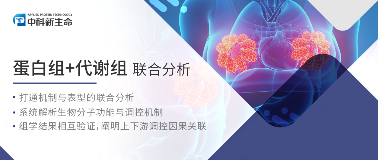 项目文章Cancer Lett（IF 9.1）|北京中医药大学团队揭示中医诊疗中瘤周电针改善三阴性乳腺癌微血管正常化的分子机制