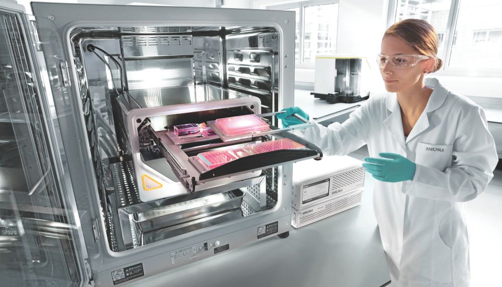 应用大爆发：2024上半年Incucyte® 国内成果盘点!