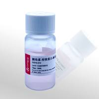 Cellworld ITS -G 液体培养基补充剂 100X C2312-013