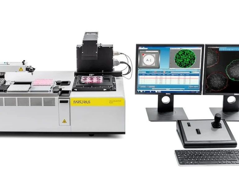 应用大爆发：2024上半年Incucyte® 国内成果盘点!