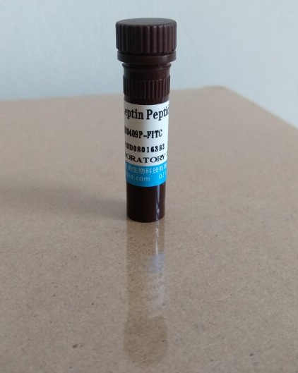 小鼠抗GalR1单克隆抗体(克隆号N371B/37)